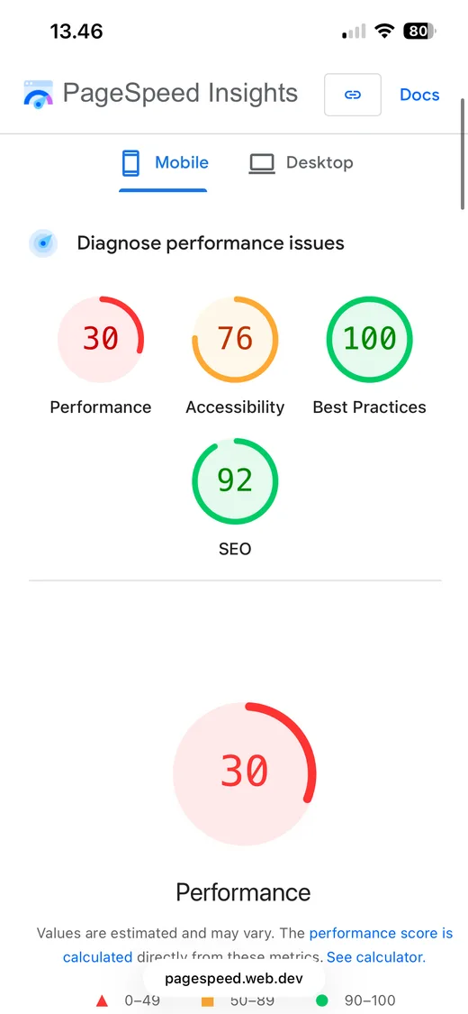 PageSpeed score of 30 before optimization